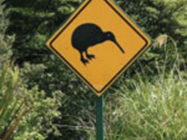 Straßenschild Kiwivogel Neuseeland 