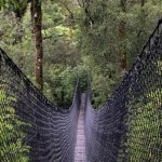 Hängebrücke Neuseeland Wandern 