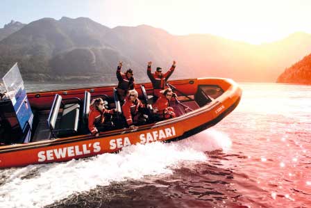Sea Safari Trip Ausflug Sprachreise Kanada Schüler Boot