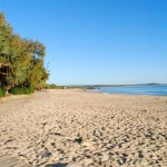 Strand Meer Bäume Australien Queensland